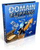 Thumbnail Domain Flipping .. Treasure Map